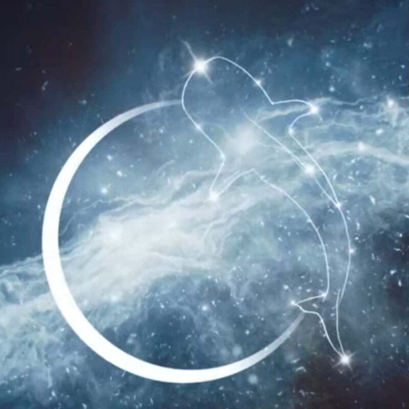 Exmouth Milyering: Cape Range National Park Astronomy Tour - Final Thoughts