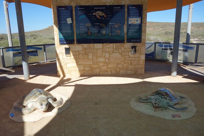 Exmouth Modern History & Heritage Half Day Tour - Local Cultural Experiences