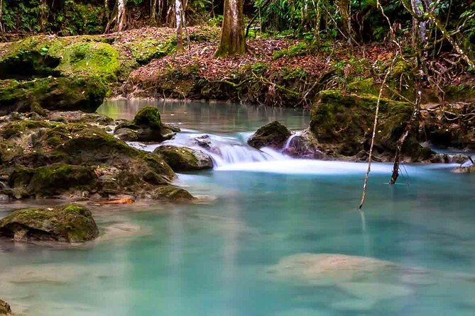Exotic Blue Hole and Native Tour - Tour Pricing and Booking Details