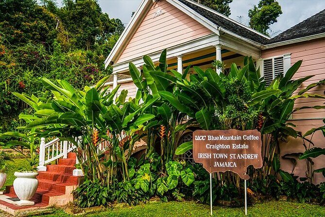 Exotic Blue Mountain Coffee Tour - Good To Know