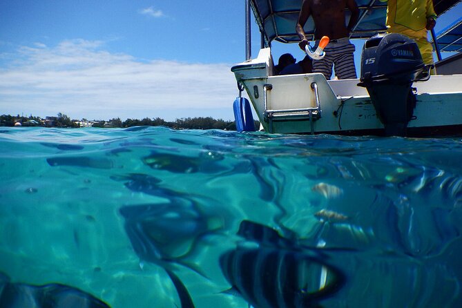 Exotic East of Mauritius: Full-Day Incl Ile Aux Aigrette & Blue-Bay Marine Park - Important Information