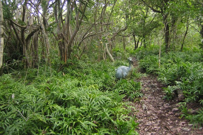 Exotic East of Mauritius: Full-Day Incl Ile Aux Aigrette & Blue-Bay Marine Park - Frequently Asked Questions