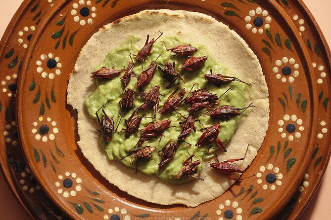 Exotic Food Tasting: Taste the Unexpected - Good To Know