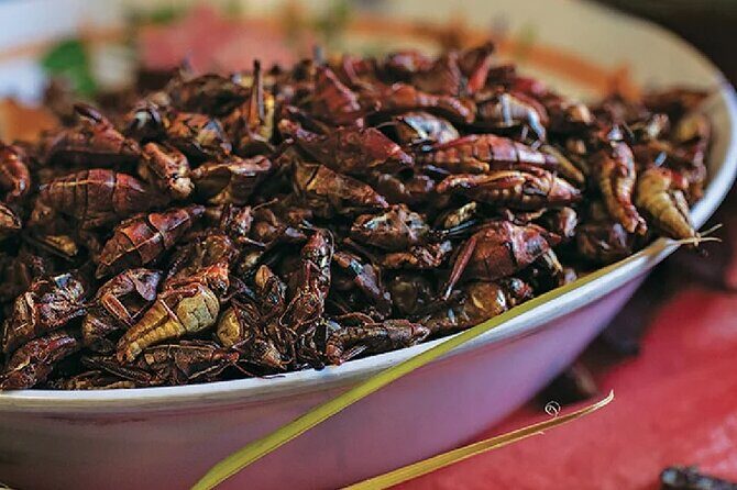 Exotic Food Tasting: Taste the Unexpected - Frequently Asked Questions