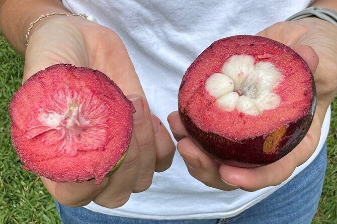 Exotic Fruit Tasting Tour in Kona - An In-Depth Look at the Exotic Fruit Tasting Tour in Kona