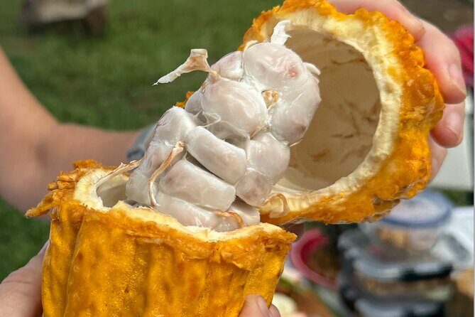 Exotic Fruit Tasting Tour in Kona - Who Should Consider This Tour?