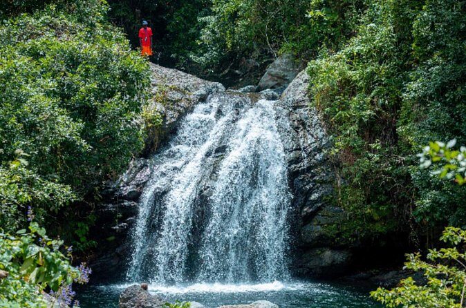 Exotic Full-Day Blue Mountain Bicycle Adventure - FAQ