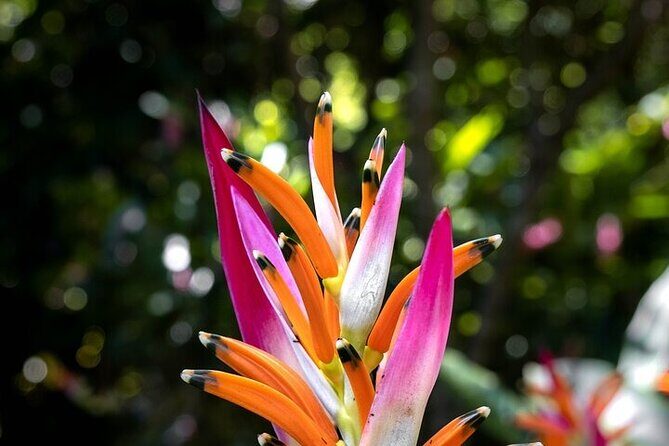 Exotic Garden EN Rancho Ecoturístico - An In-Depth Look at the Tour Experience