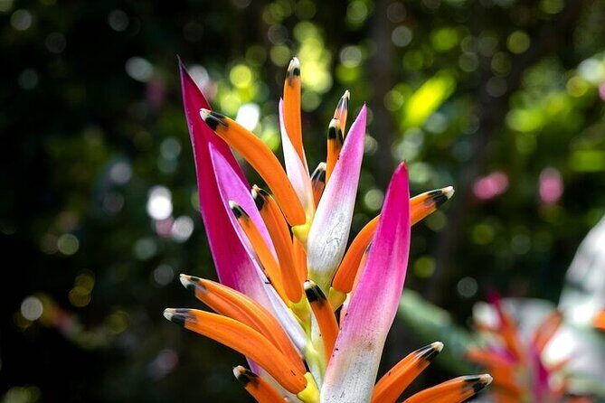 Exotic Garden EN Rancho Ecoturístico - FAQs