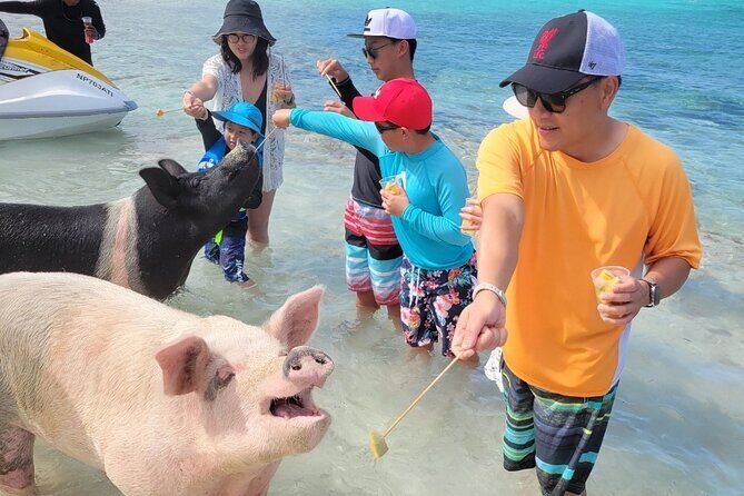 Exotic half day private charters to Rose Island, Pigs and Turtles - Final Thoughts