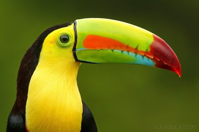 Exotic Landscapes of Costa Rica - Arenal Volcano: Majestic Natural Wonder