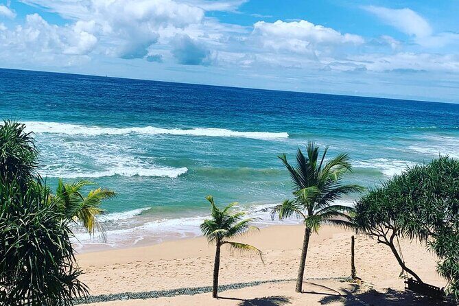 Exotic Sri Lanka Colombo City and Hill Country tour 4Nights 5Days - Good To Know