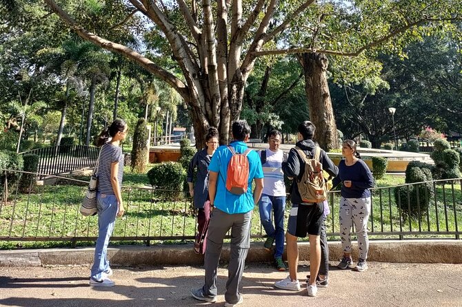 Exotic Trees of Lalbagh - Striking Flame of the Forest Tree