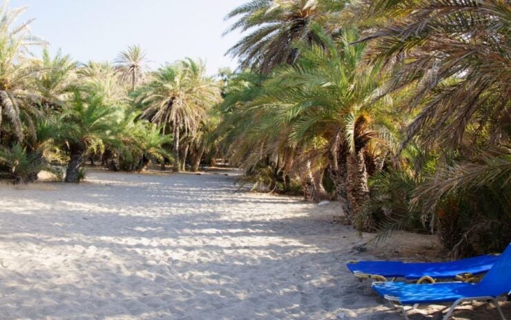 Exotic Vai Palm Beach, Toplou Monastery & Sitia Town - Good To Know