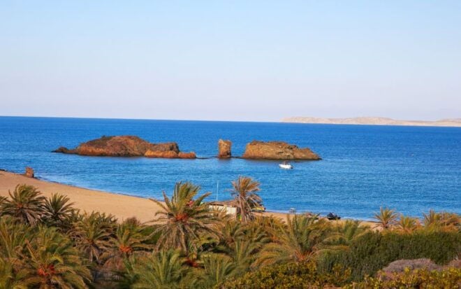 Exotic Vai Palm Beach, Toplou Monastery & Sitia Town - Important Information