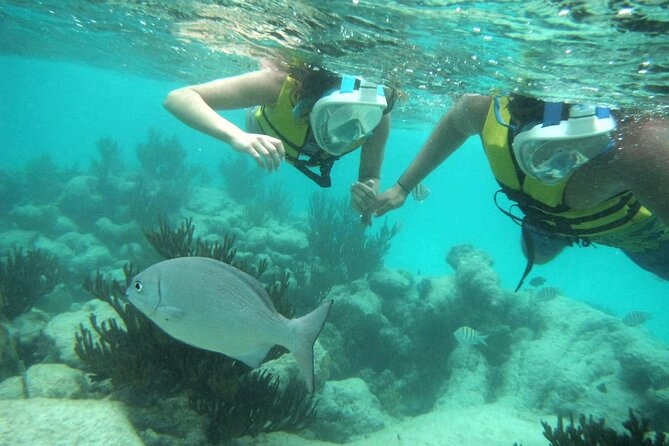 Exotik Half a Day Tour: Cenote Cave and Swimming With Turtles - Additional Information on Akumal Bay Turtle Care Program