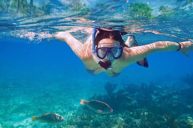 Exotik Half a Day Tour: Cenote Cave and Swimming With Turtles - Directions and Meeting Point Details