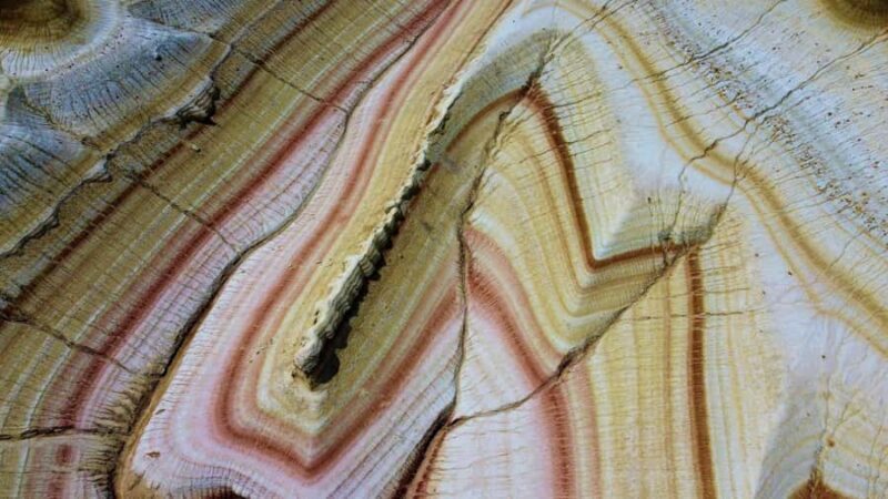 Expedition through the wastelands and oases of Mangystau - The Value in the Experience