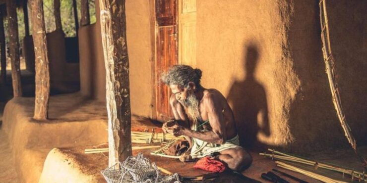 Expedition to an Indigenous Rainforest Haven" - Overview of Rainforest Expedition