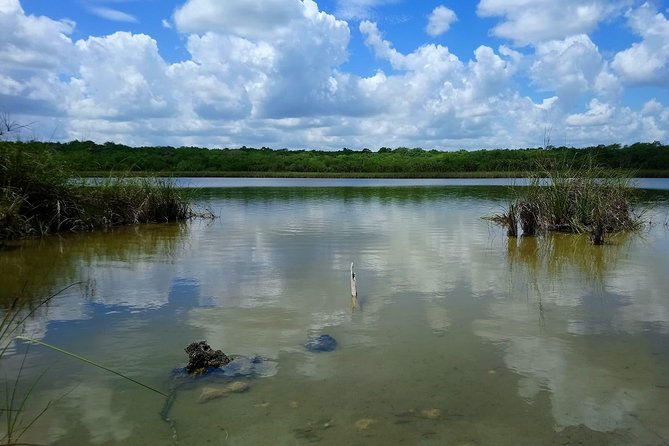 Expeditions of Cenotes in Puerto Morelos - What To Expect