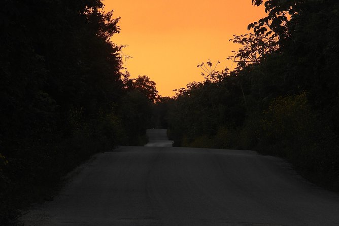 Expeditions of Cenotes in Puerto Morelos - Cancellation Policy