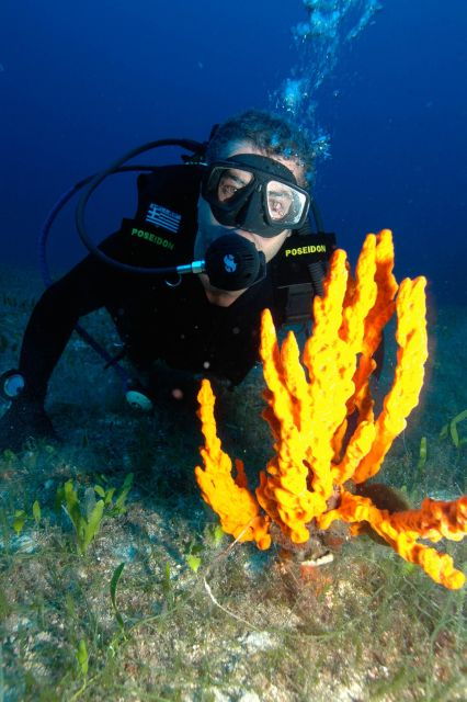 Experience 2 Tank Scuba Diving on Paros - Booking and Payment Information