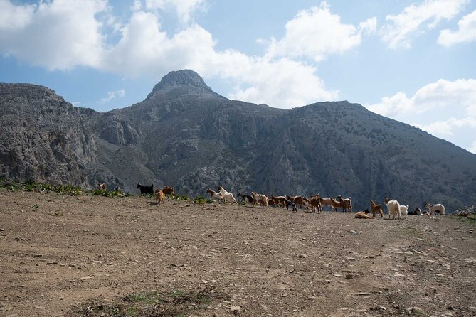 Experience a 4 Hours Modern Via Ferrata - The Sum Up