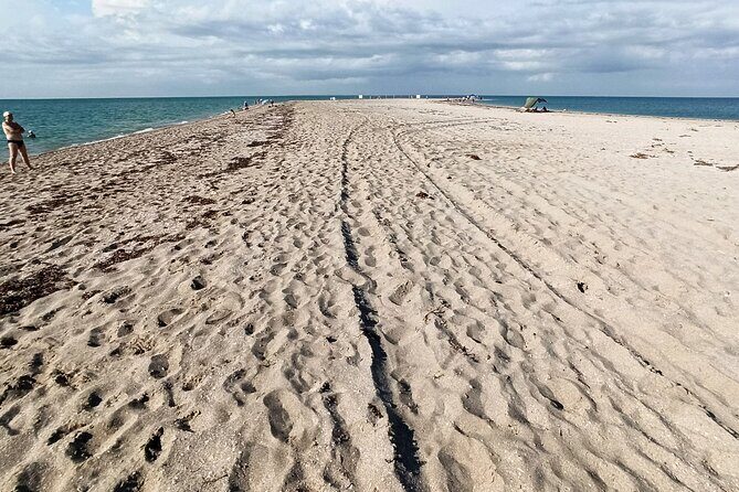 Experience a Breathtaking Sunset at Aral Sea with Friendly People - Who Will Love This Tour?