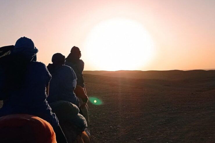 Experience a Camel Tour Through Palm Oasis and Jbilat Desert - Camel Ride Experience