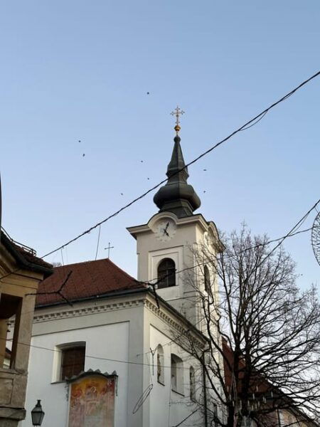 Experience a Day Full of the Beauty of Ljubljana, Slovenia - Customer Testimonials