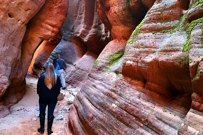 Experience a Secret Slot Canyon in Southern Utah! - Reviews