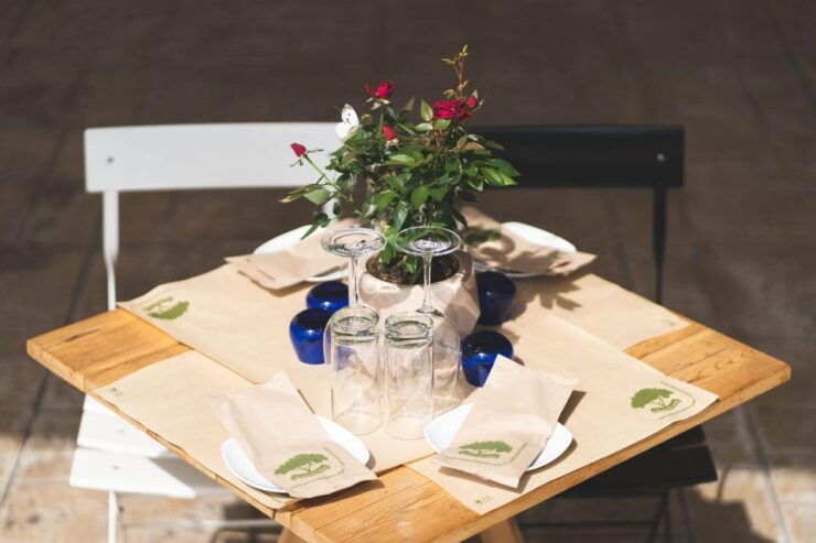 Experience Ancient Olive Tree, Olive Mill and a Wine Tasting - Itinerary Highlights