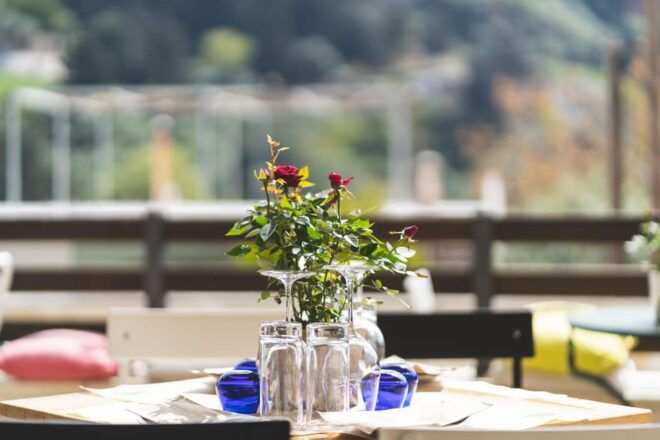 Experience Ancient Olive Tree, Olive Mill and a Wine Tasting - Wine Tasting Experience