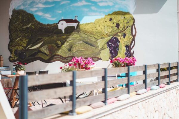 Experience Ancient Olive Tree, Olive Mill and a Wine Tasting - Accessibility Features