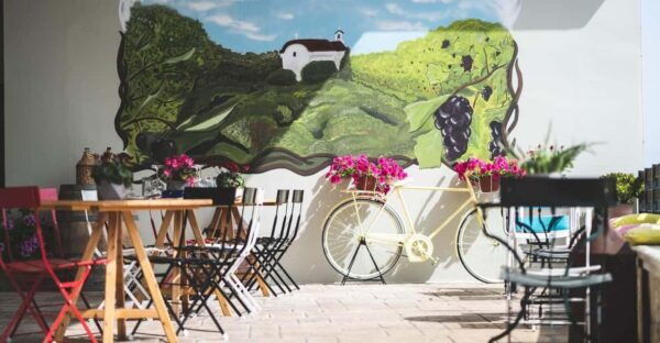 Experience Ancient Olive Tree, Olive Mill and a Wine Tasting - Frequently Asked Questions