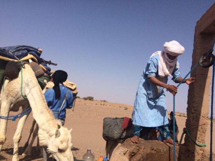 Experience Another Way of Living M'Hamid - Highlights of the Nomad Lifestyle