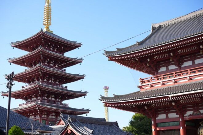 Experience AsakusaJapan Culture and Food Sake Comparison - Culinary Delights at Kappabashi Shopping District