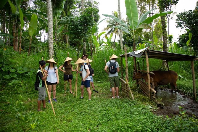 Experience Authentic Balinese Village Life on a Day Trip - Ubud - Authentic Balinese Village Life Overview