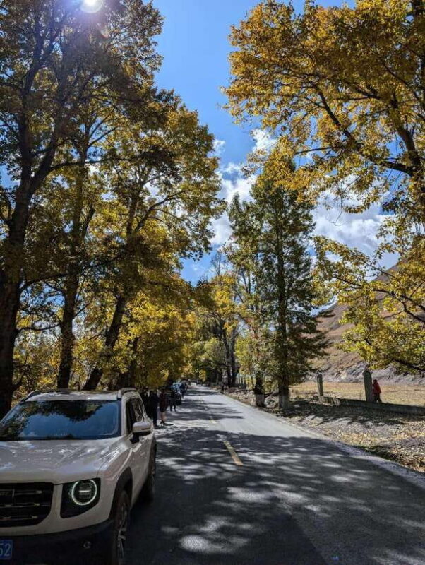 Experience Authentic Chengdu with a Personalized Local Guide - Good To Know