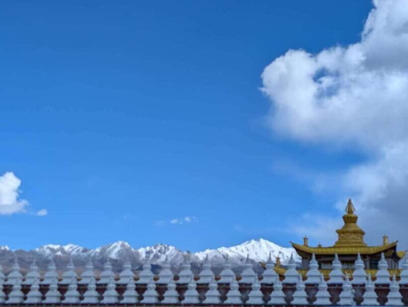 Experience Authentic Chengdu with a Personalized Local Guide - The Value of a Guided, Custom Experience