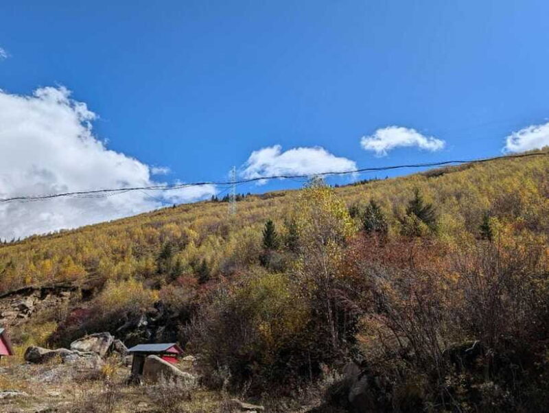 Experience Authentic Chengdu with a Personalized Local Guide - Final Thoughts on the Experience