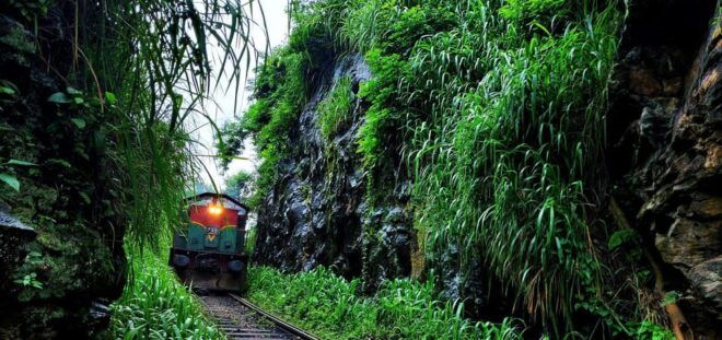Experience Authentic Sri Lankan Life With Kasun! - Safety and Inclusions