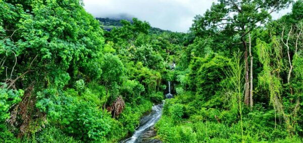 Experience Authentic Sri Lankan Life With Kasun! - Frequently Asked Questions