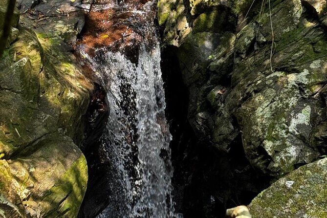 Experience Bach Ma Trekking Tour from Da Nang - Exploring Bach Ma: The Itinerary in Detail