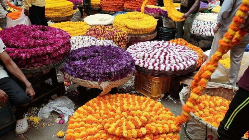 Experience Bangalore - Evening City Walk Tour & Market Visit - The Value of the Tour