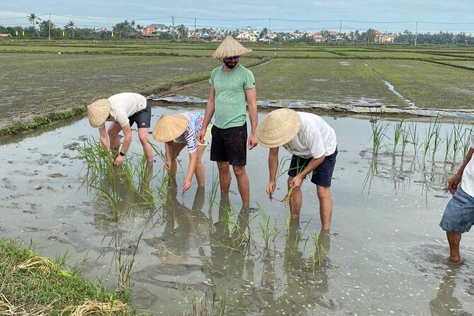 Experience Buffalo Ride and Farmer in Hoi An - Booking Confirmation and Accessibility