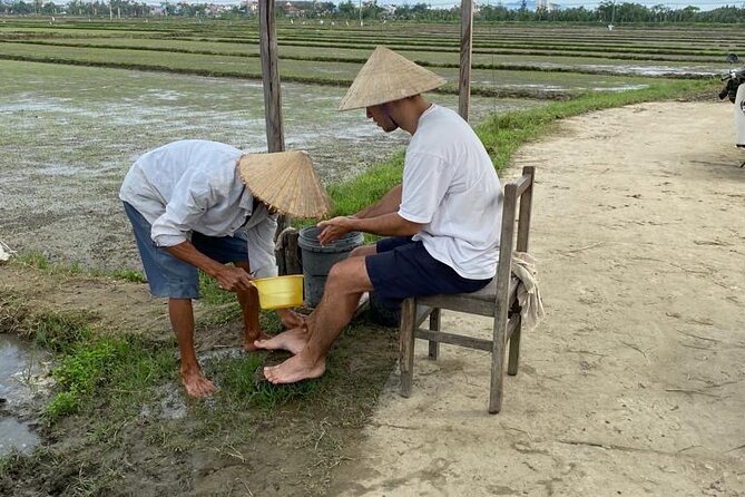 Experience Buffalo Ride and Farmer in Hoi An - Infant Seats and Traveler Recommendations