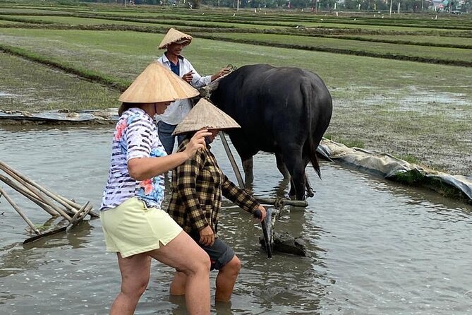 Experience Buffalo Ride and Farmer in Hoi An - Cancellation Policy and Changes