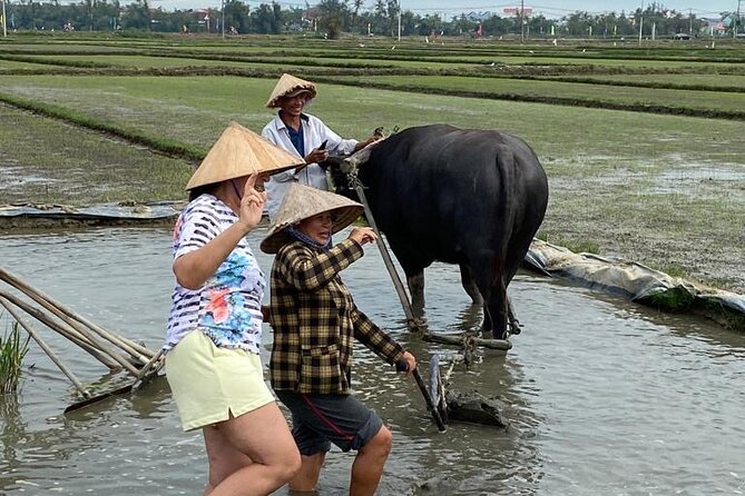 Experience Buffalo Ride and Farmer in Hoi An - Traveler Photos and Reviews