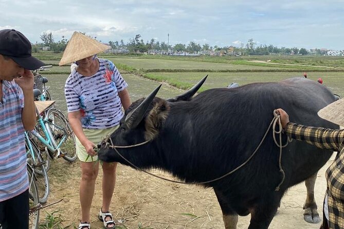 Experience Buffalo Ride and Farmer in Hoi An - Viator Help Center and Product Details